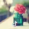 🌺明珠