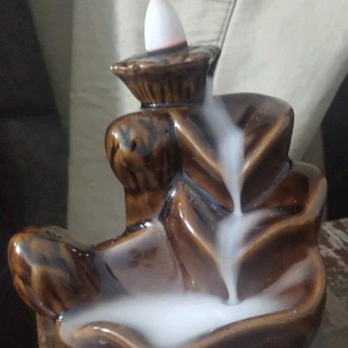 囧粽