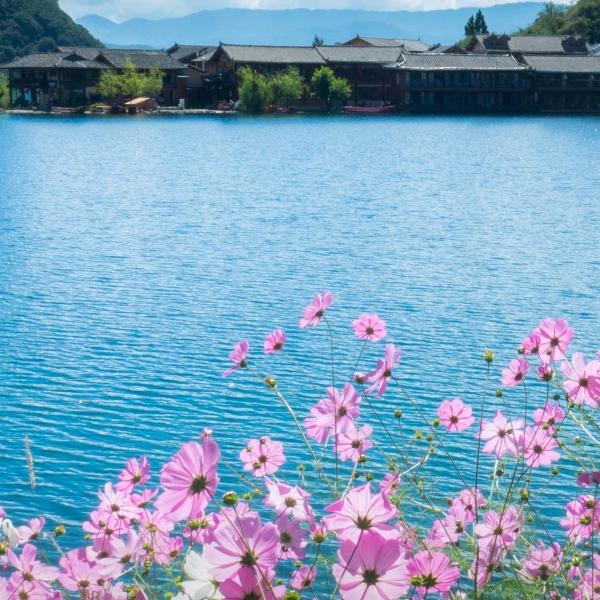 太阳（拒绝合拍）