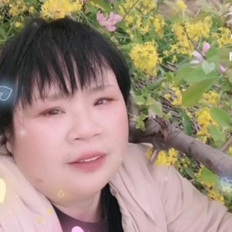 玫瑰
