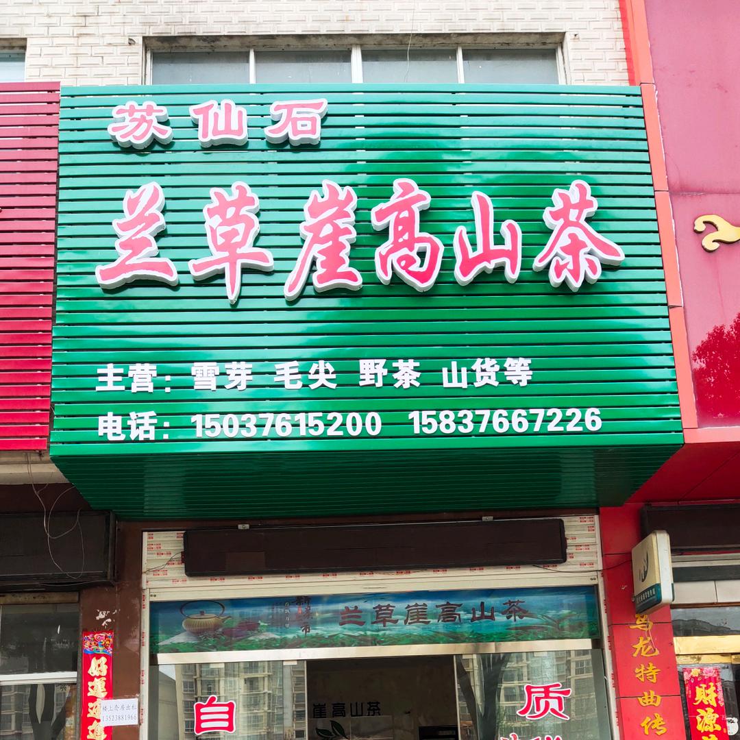 兰草崖高山茶@萧帮伟