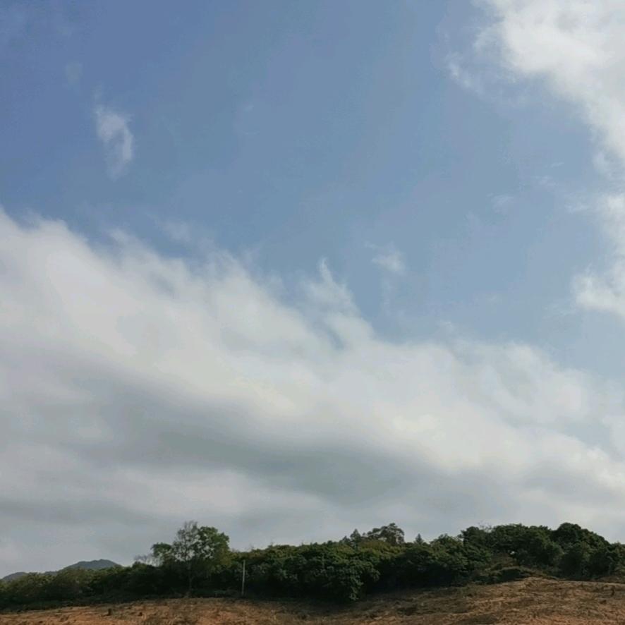 林琳