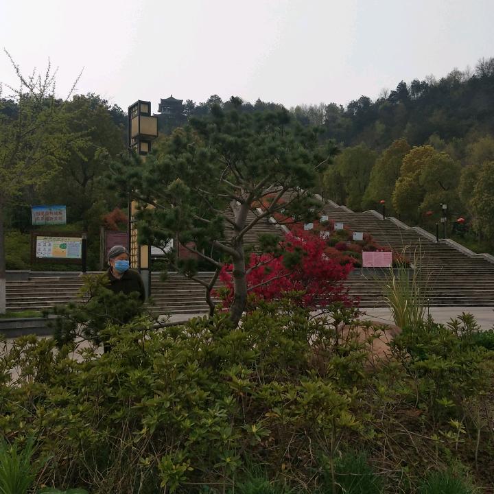 梦幻枞阳灿烂人生