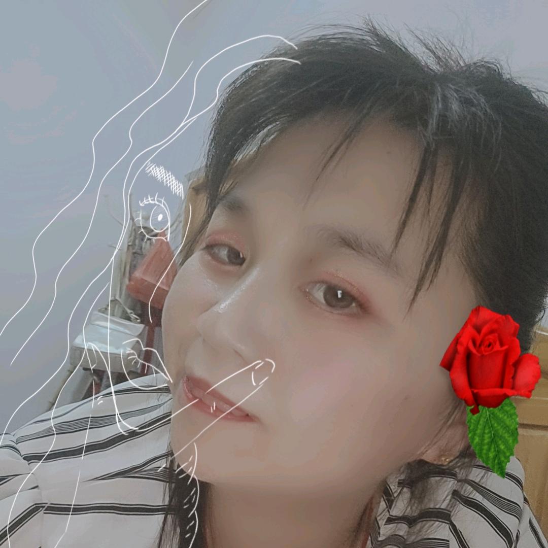 会飞的鱼