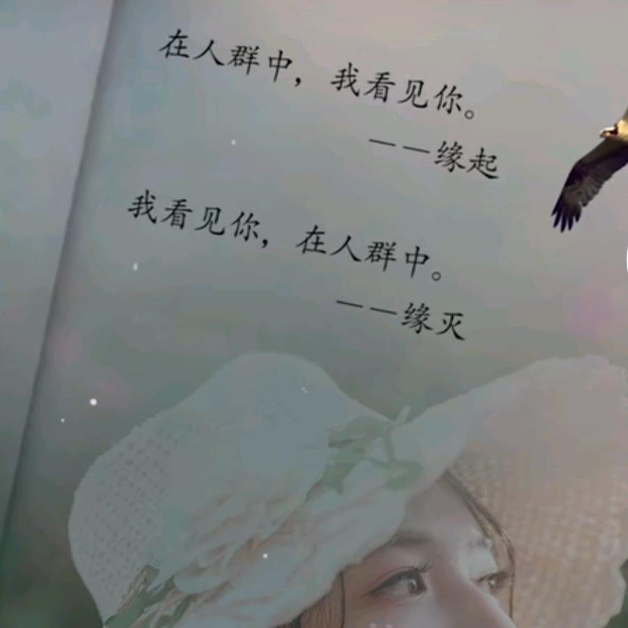 执笔写流年