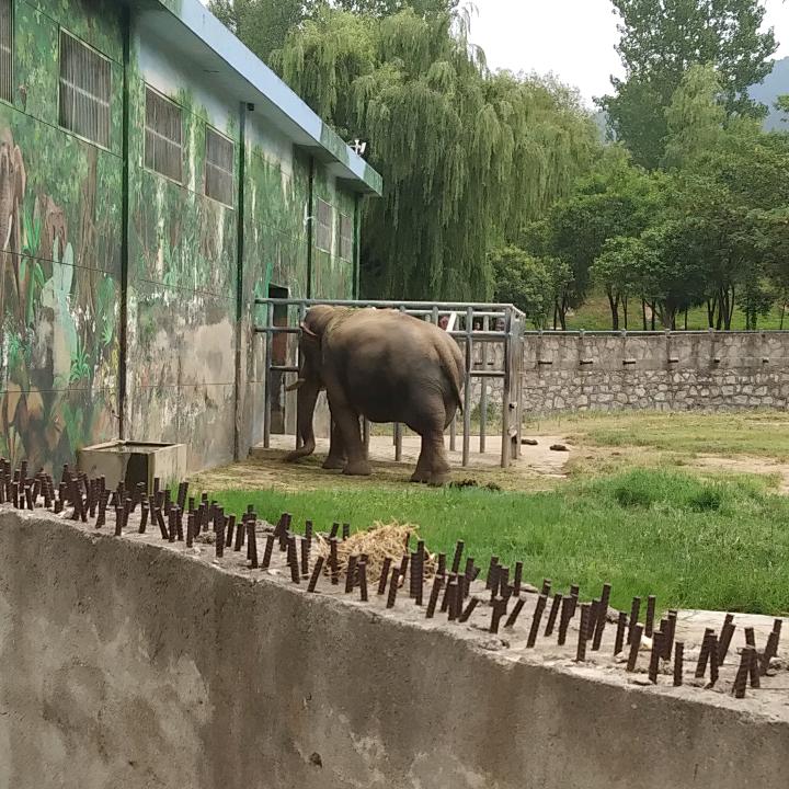 你们都好