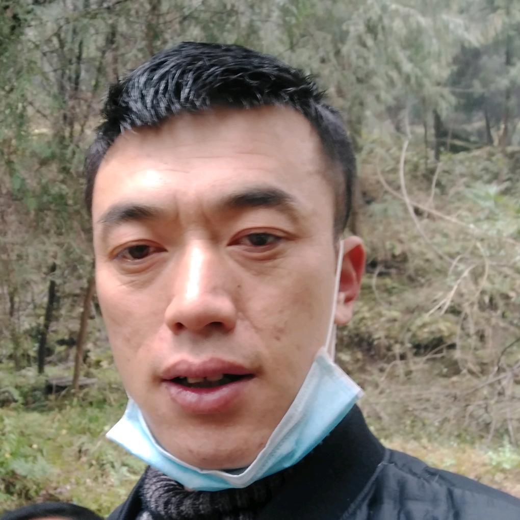 风飘飘649