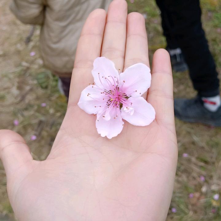 ℋ幽兰🍒烟雨💞࿐