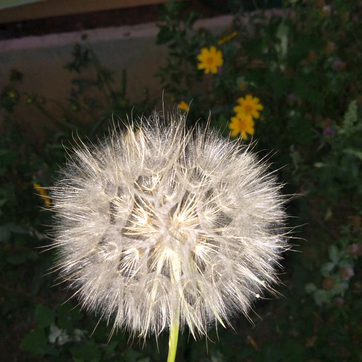 你是我一生的牵挂