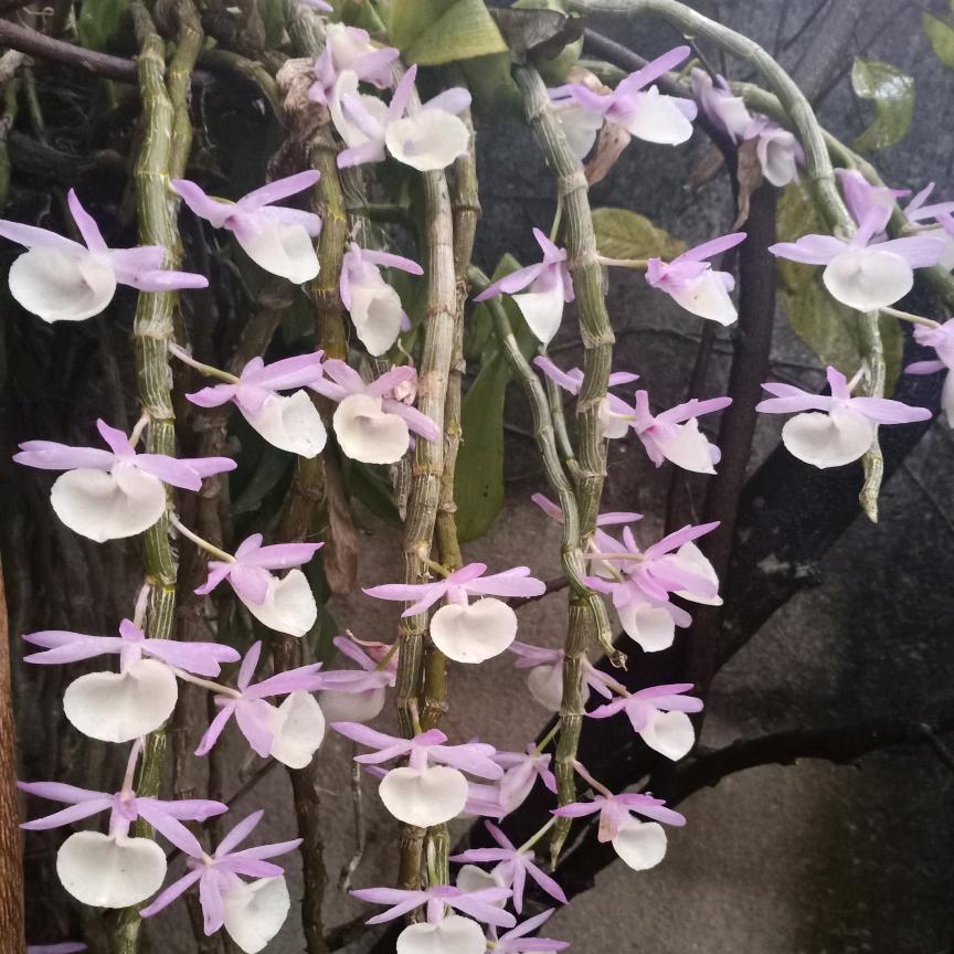 好好珍惜