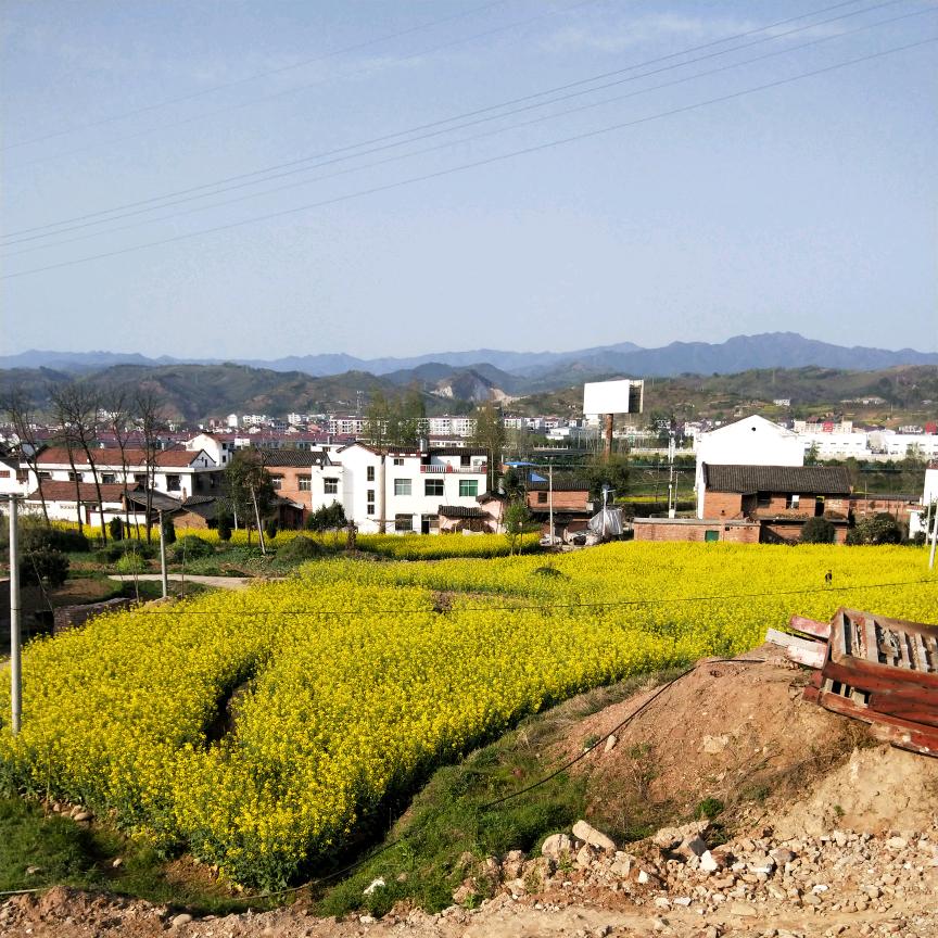 刘远波