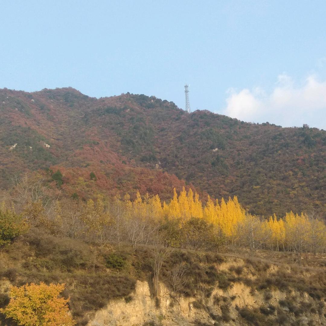 陈德华