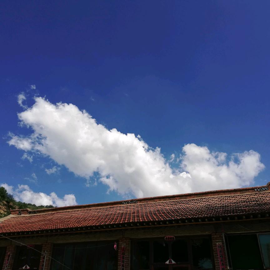 大掌柜（拒私聊）