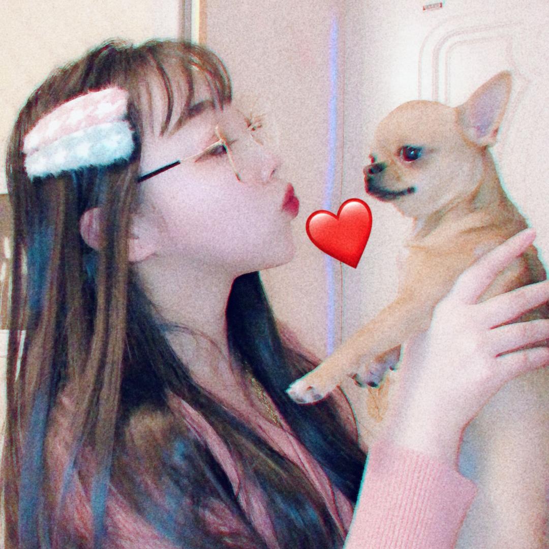 铁牛是只吉娃娃💕