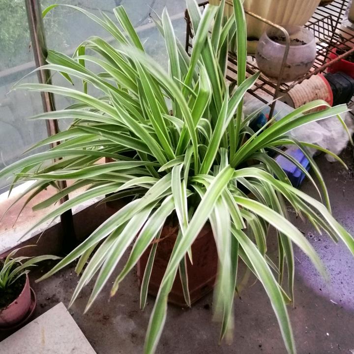 屏住呼吸