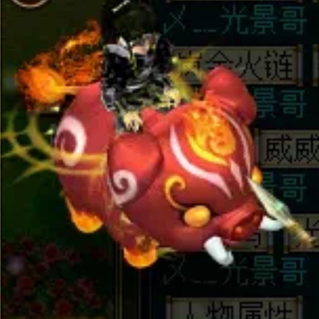 龙先生。