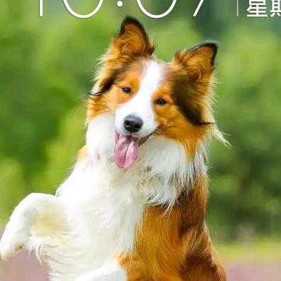 翼翔