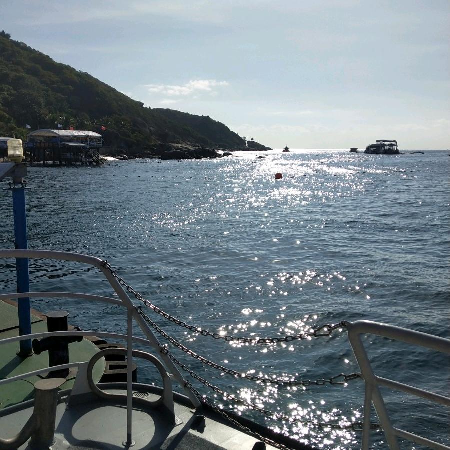 不想当混蛋😀😀😀