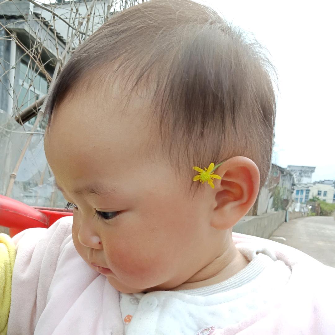 莉