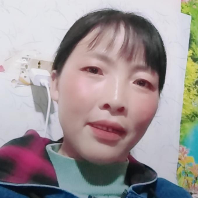 菊芬