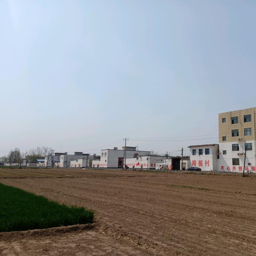 💖⁵²⁰顺李༒ۣ成张¹³¹⁴