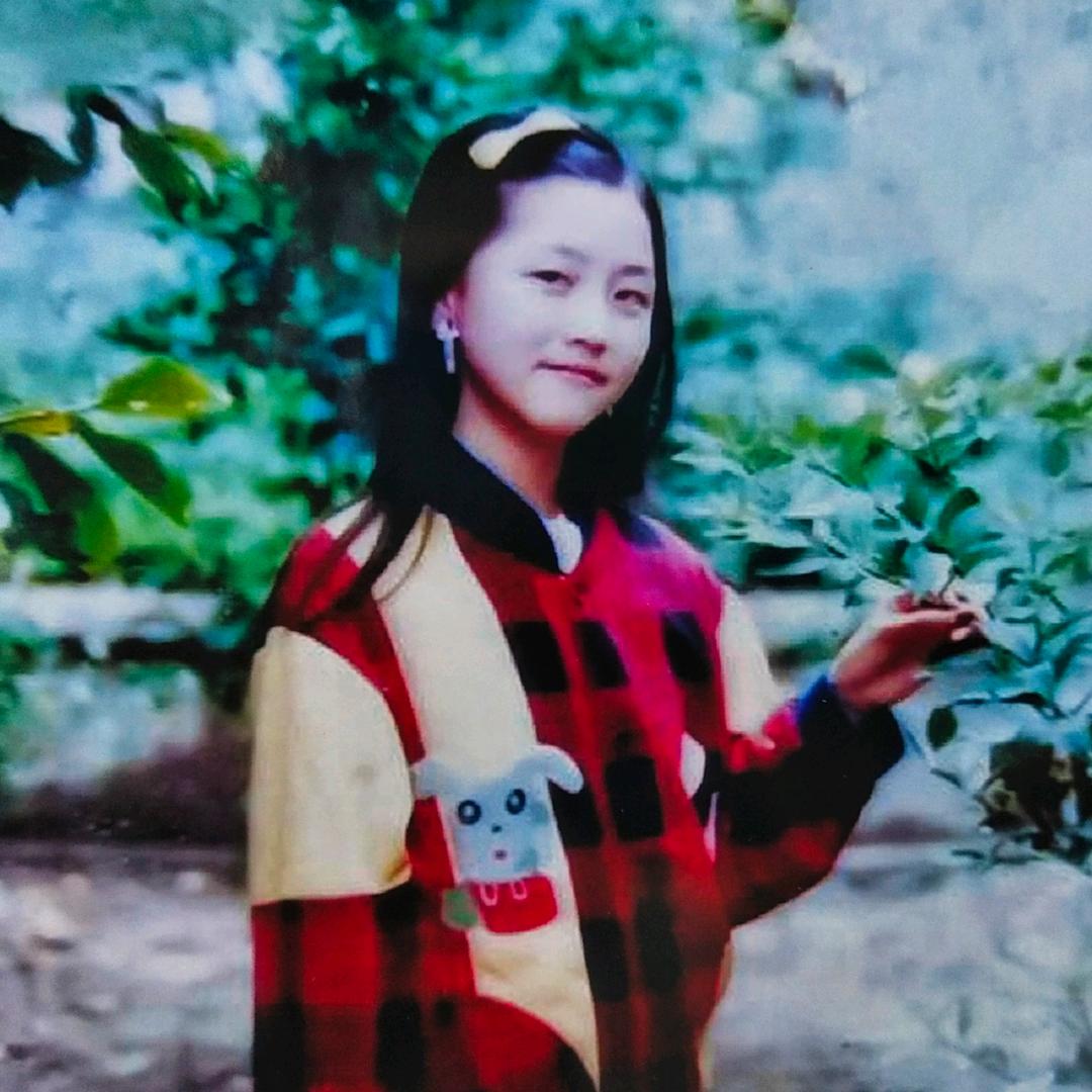 小小燕子