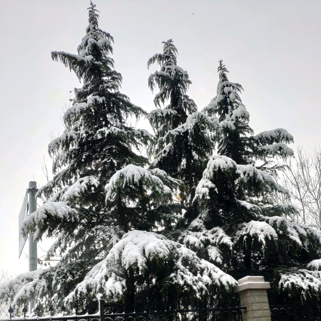 临沂管家婆｜用友ERP管理软件