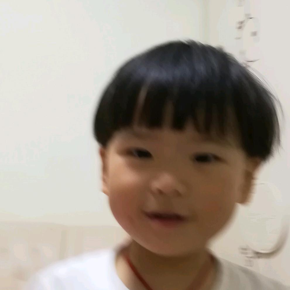 信阳大山茶