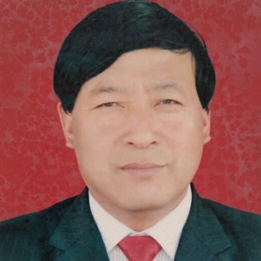 冯智
