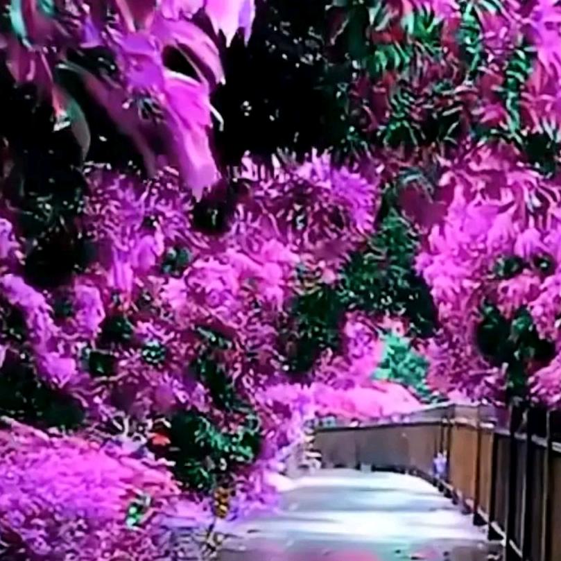 育宝宝大世界
