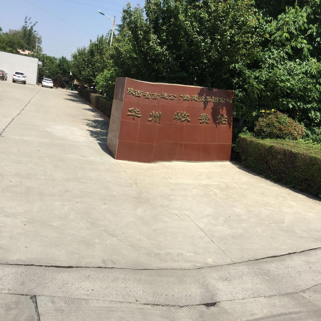 赵涛