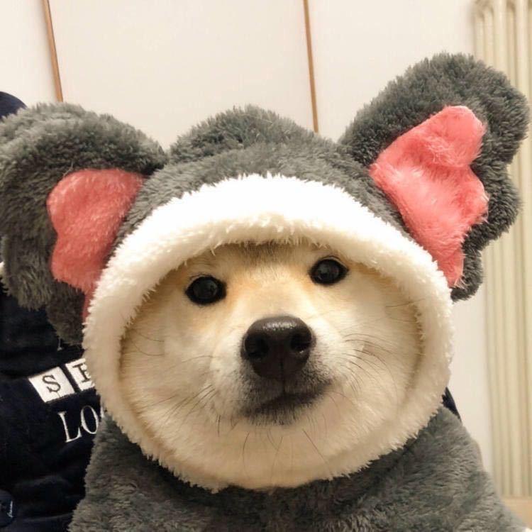 加菲