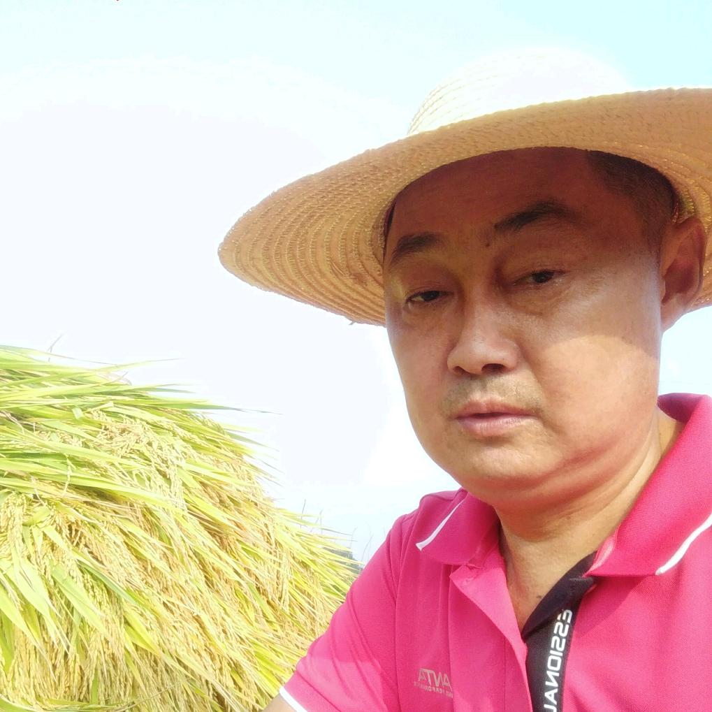 汤叔