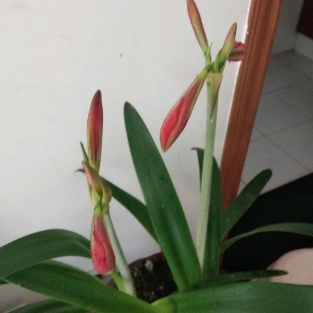 宁静致远