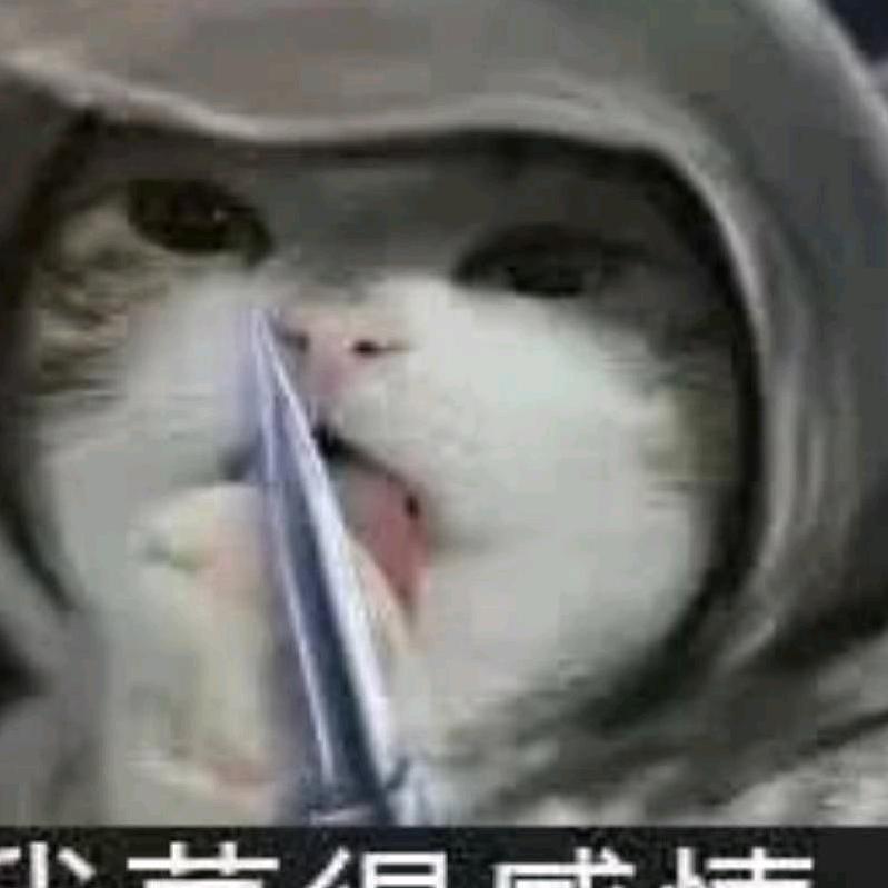 禽兽放开那女孩