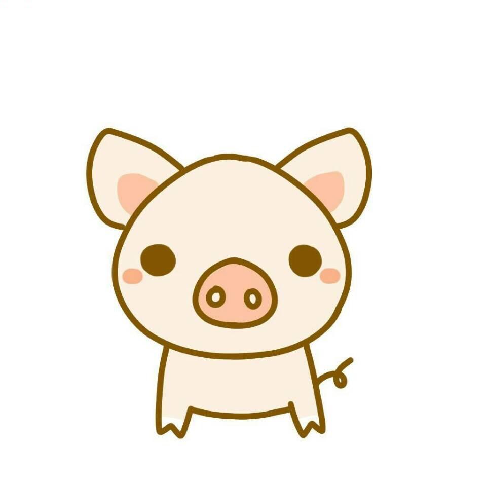 李知南吖