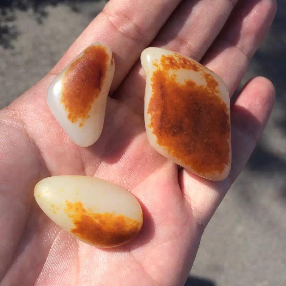十六籽玉 李晖