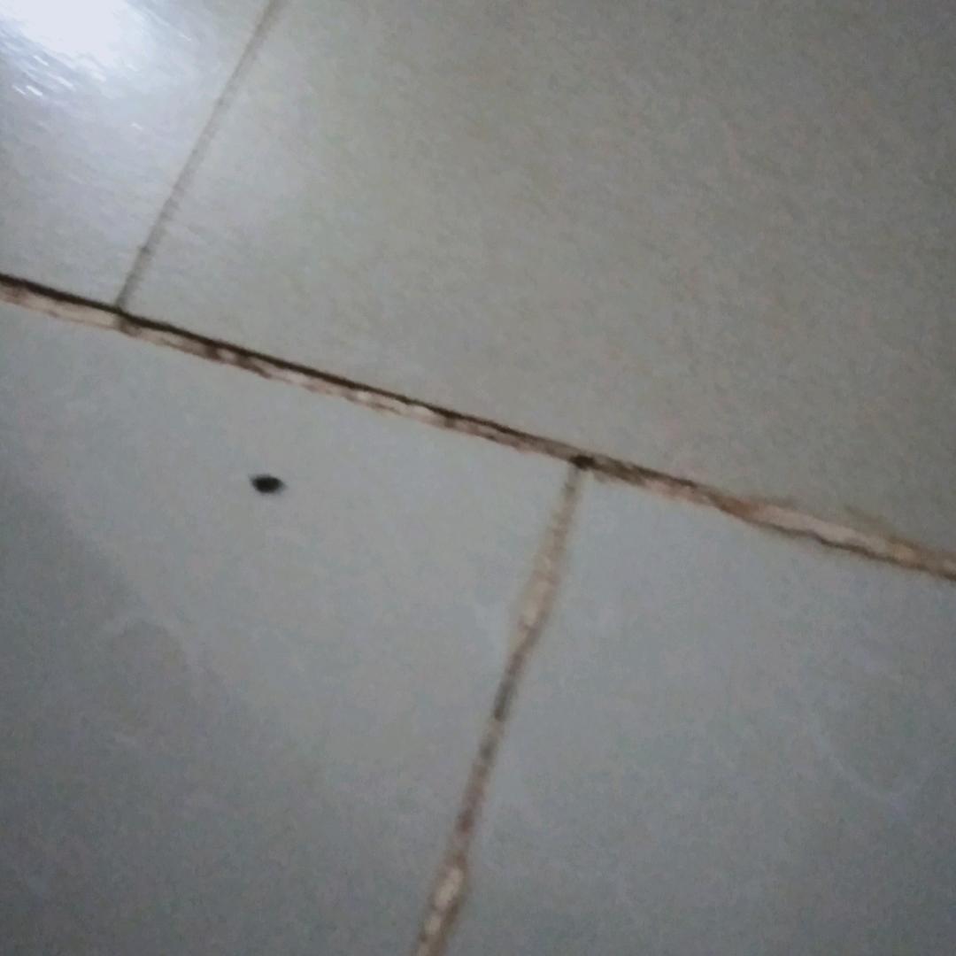 梦想123456789
