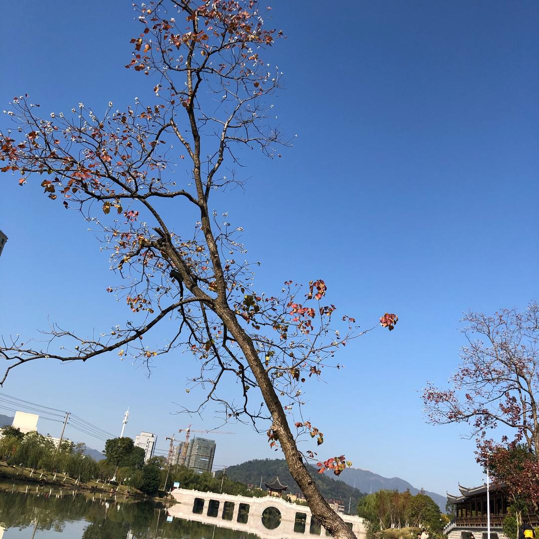 洪氏塑料制品厂