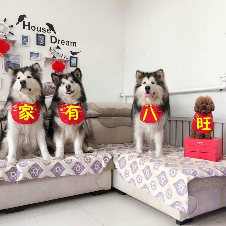 家有八旺