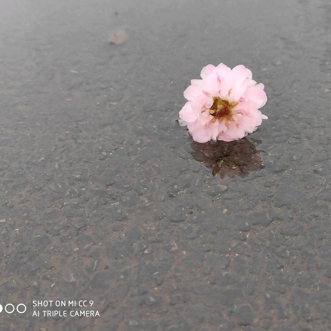 水的温度