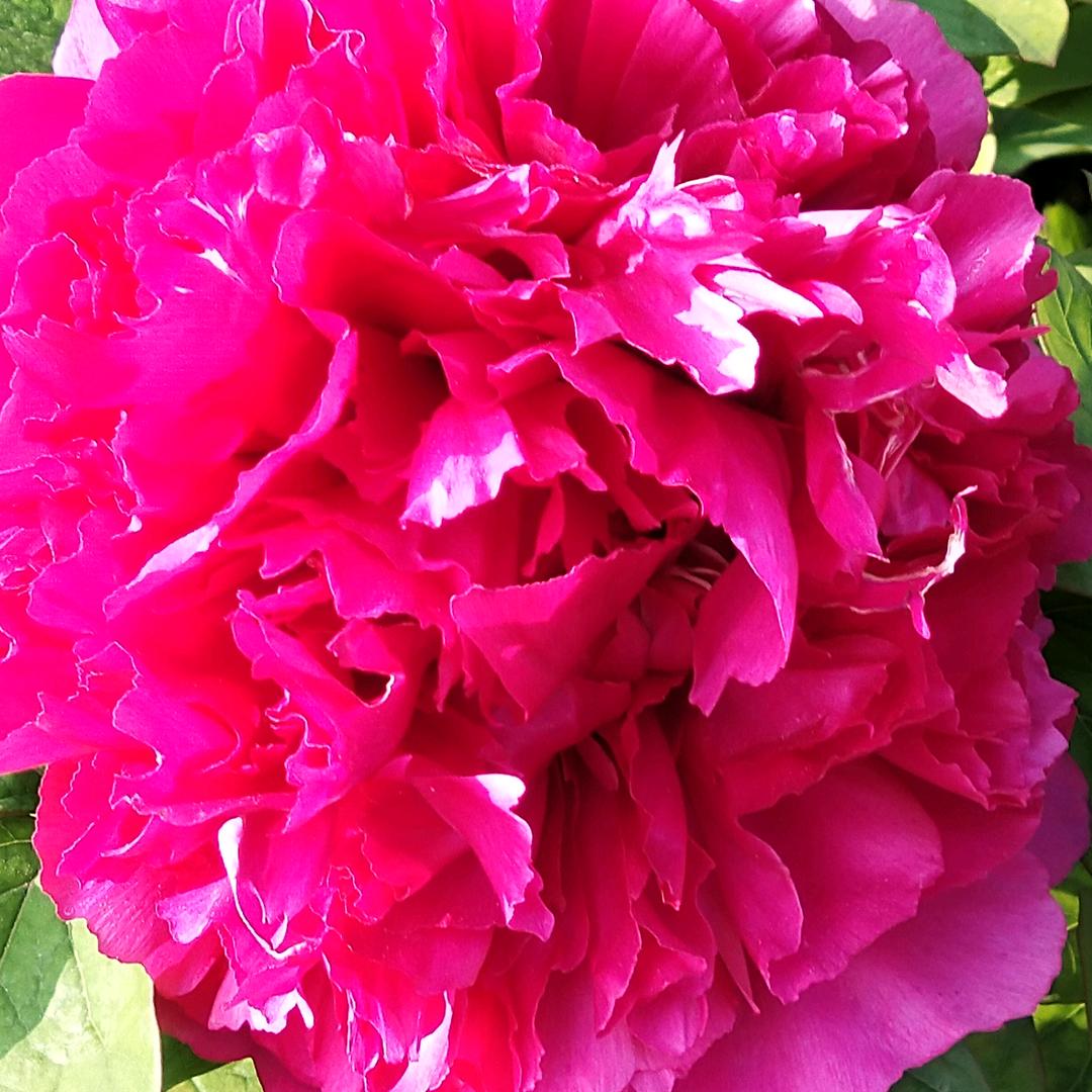 艾美家昆明瑞鼎城店-叶姐