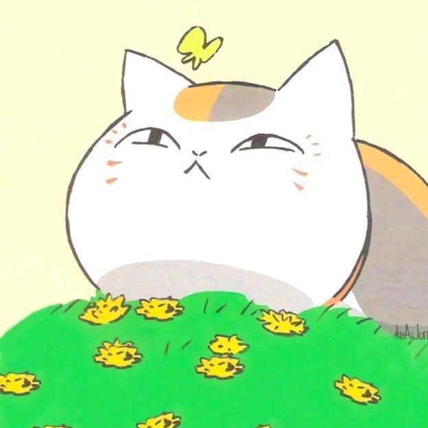 大喵