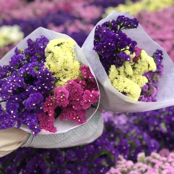 V昨夜星辰昨夜风