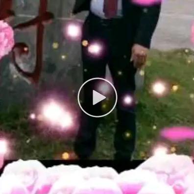 批发金弹子苗苗～董二哥