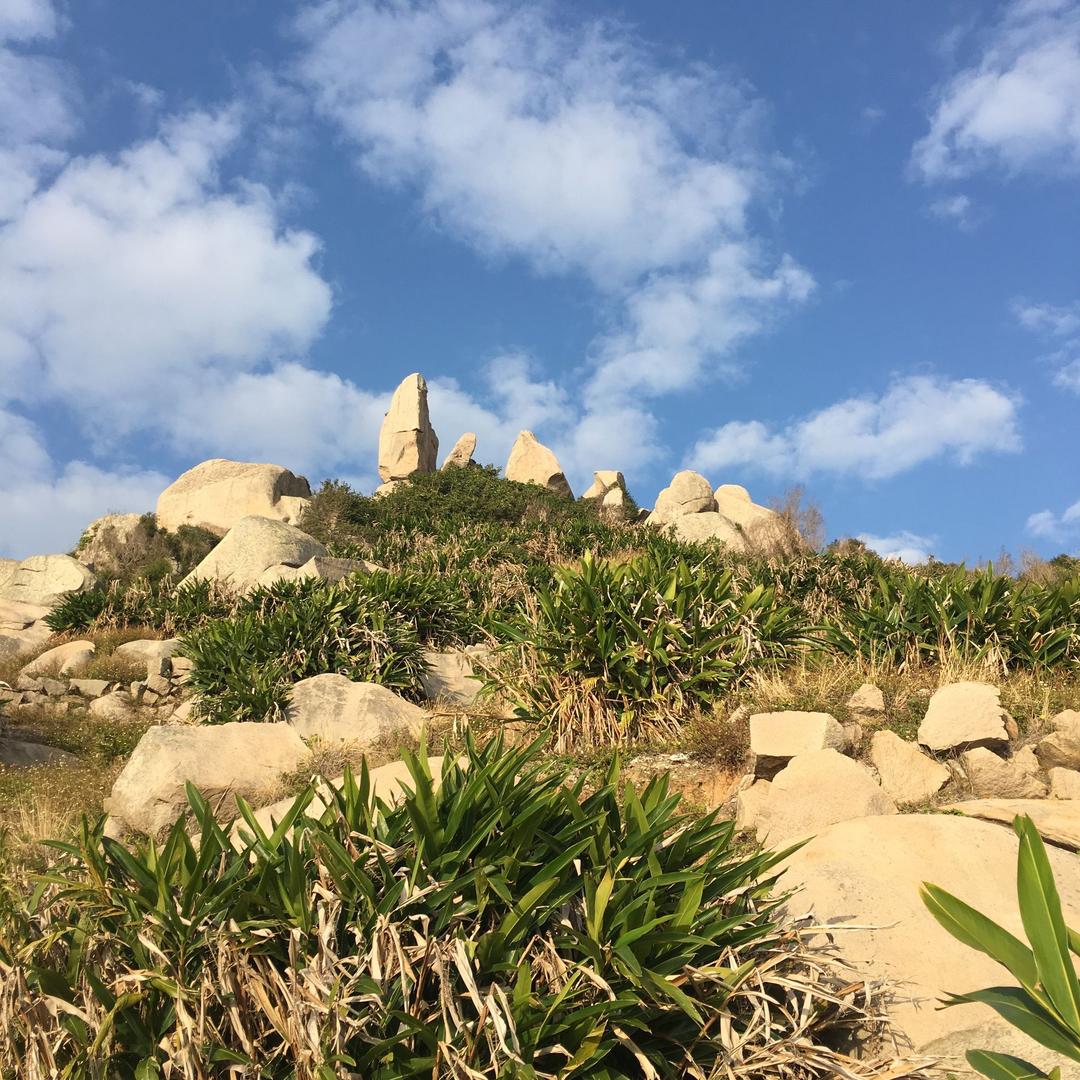 北京蛐蛐现货米焦焦粉焦粒