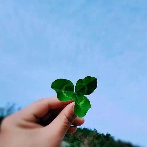 海口龙华誉方百货店