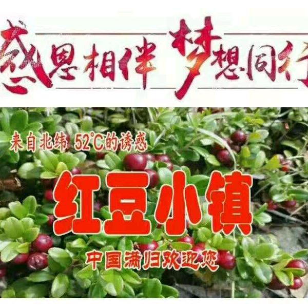 林间小溪