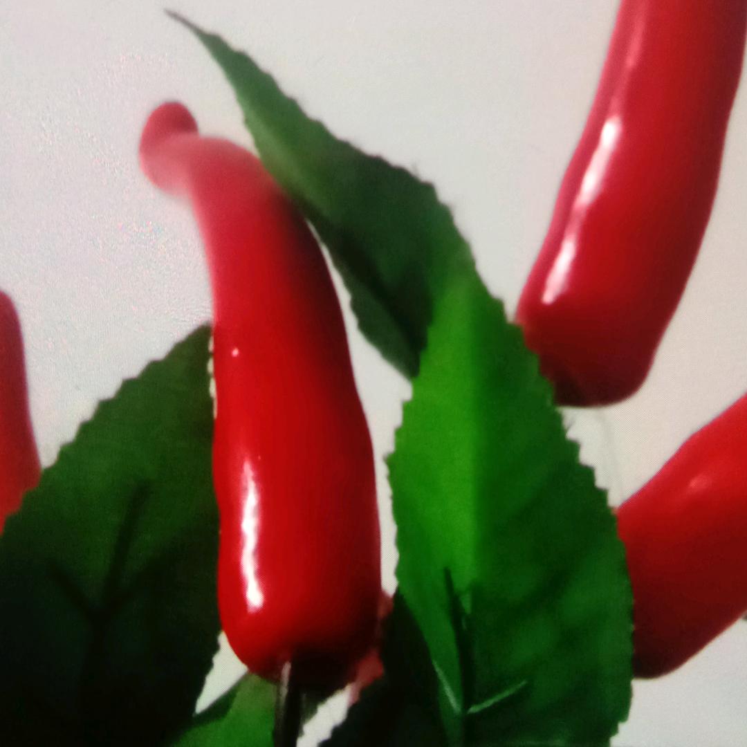 梦想成真