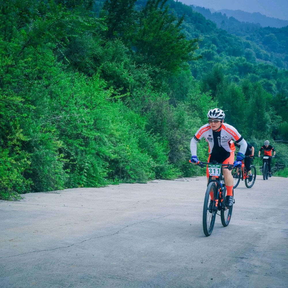 古县向阳东街捷安特店